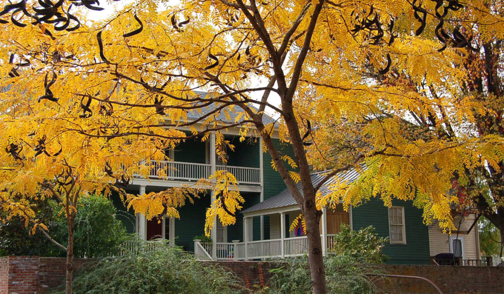 9 Reasons To Buy A Home In The Fall