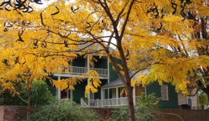 9 Reasons To Buy A Home In The Fall